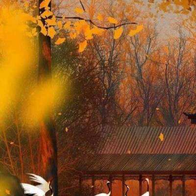 果盘仙境幻想手机版下载